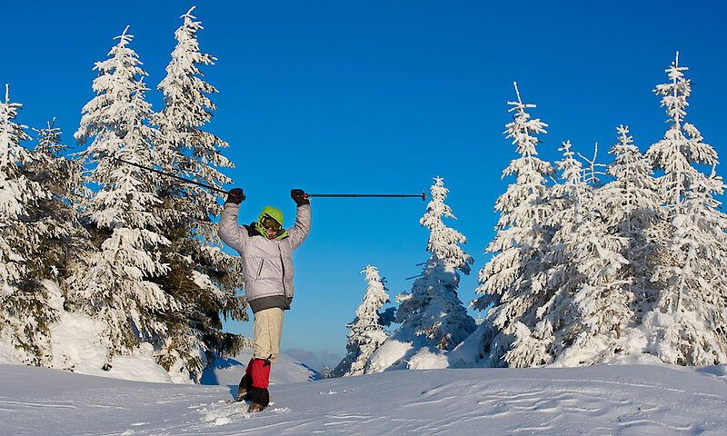 Schneeschuhwandern im Bayerischen Wald